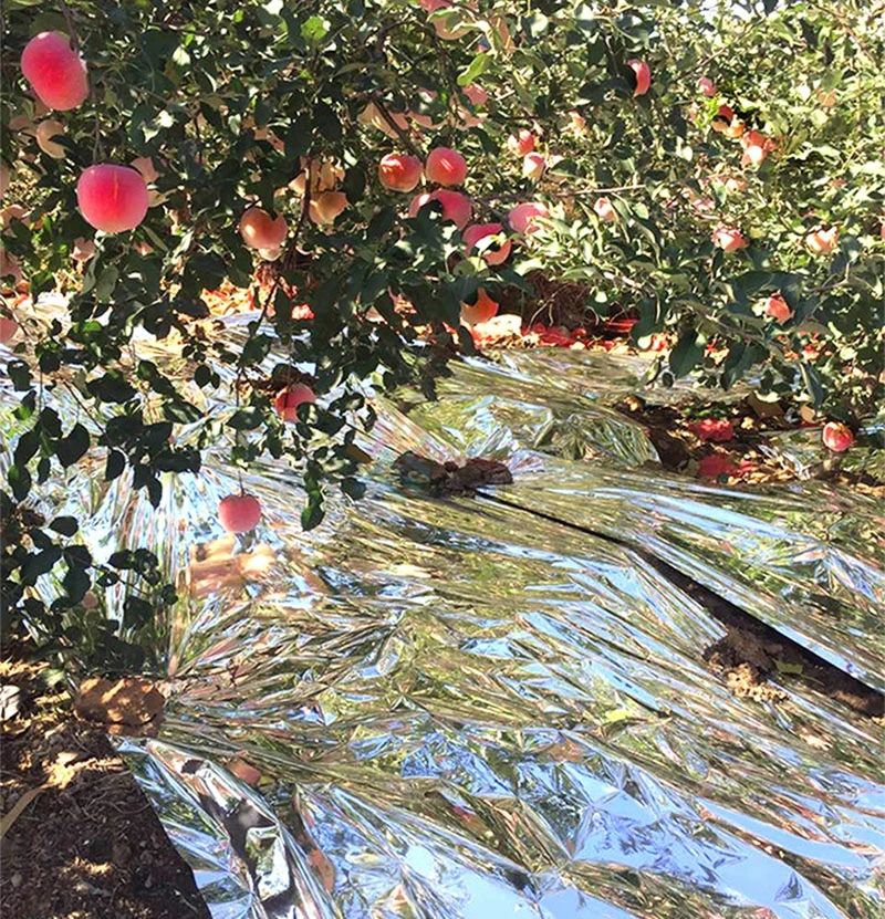 Садовый сад Двухсторонняя светоотражающая мульча Проницаемая майларовая грядка Сельскохозяйственный серебряный одеяла для роста растений Фруктовый продвигающий красный 4