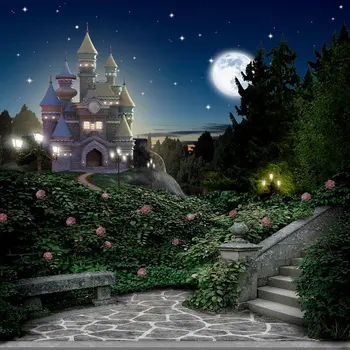 Замок Золушки Ночь Луна Сад Фон Высокое качество Компьютерная печать фоны для вечеринок