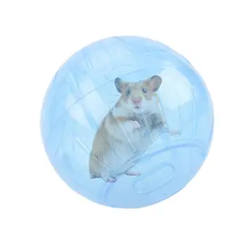 Мяч для хомяка Упражнение Беговое колесо для хомяка для мелких животных Мячи для упражнений для хомяков Беговое колесо для хомяков Золотой медведь